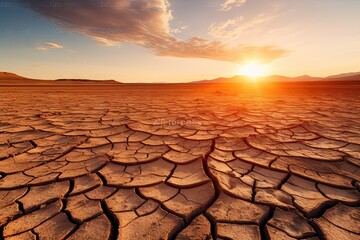 Harsh reality of dry and arid environment likely affected by drought and adverse climate...