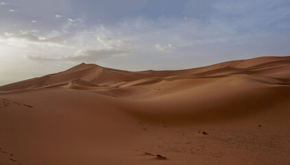 Fototapeta na wymiar 04_Sunrise of the famous and legendary dunes of Erg Chebbi in the Sahara Desert, Morocco.