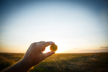 Bitcoin coin in hand at sunset