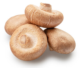 Shiitake - edible asian mushrooms isolated on white background. File contains clipping path.