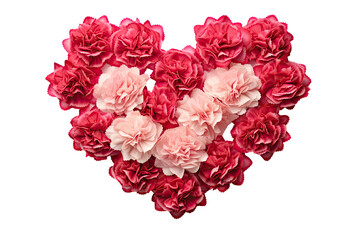 Fototapeta premium carnation flowers arranged in love shape on an isolated transparent background