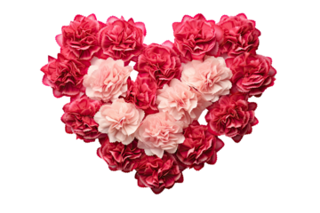 carnation flowers arranged in love shape on an isolated transparent background