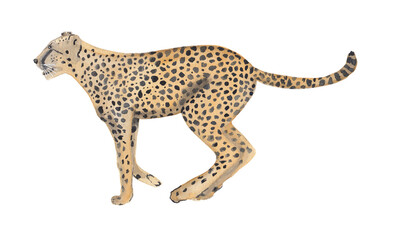 Cheetah watercolor illustration Handpainted animal clipart