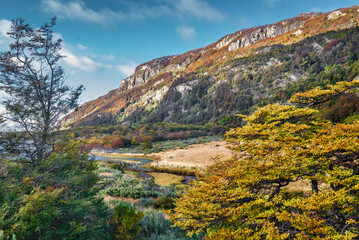 Fototapeta na wymiar Parque Nacional, Tierra del Fuego, Argentina