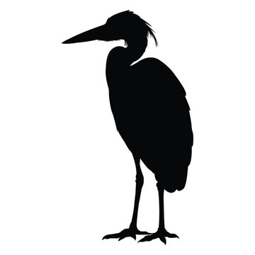 recommend clip art: silhouette of heron stork on white