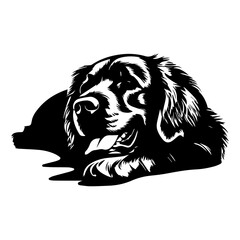 golden retriever dog resting silhouette illustration, golden retriever dog resting Logo Monochrome Design, Generative AI.	