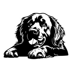 Fototapeta premium golden retriever dog resting silhouette illustration, golden retriever dog resting Logo Monochrome Design, Generative AI. 