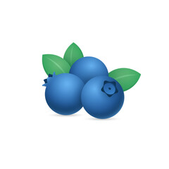 Realistic 3d Blueberries Vector Illustration