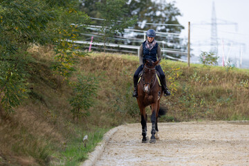 Horse with rider trotting on the hoofbeat, view of the entire motif from the front.