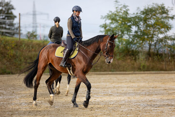 Horse with rider in the riding arena initiating a turn at the trot.