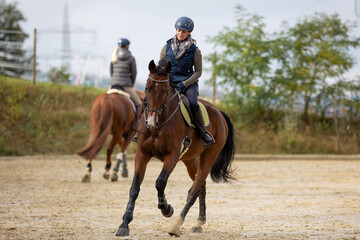 Horse during training with rider on the riding arena, galloping in a turn, photographed from the...