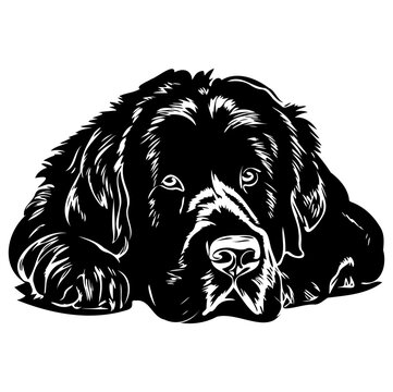 recommend clip art: newfoundland dog resting silhouette illustration, newfoundland dog resting Logo Monochrome Design, Generative AI.