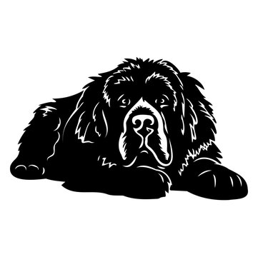 recommend clip art: newfoundland dog resting silhouette illustration, newfoundland dog resting Logo Monochrome Design, Generative AI.