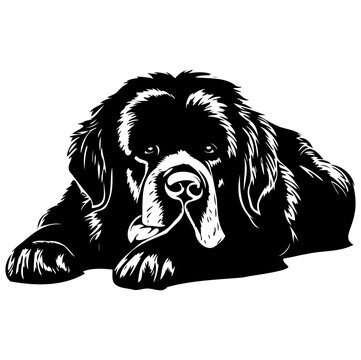 recommend clip art: newfoundland dog resting silhouette illustration, newfoundland dog resting Logo Monochrome Design, Generative AI.
