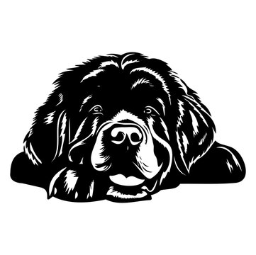 recommend clip art: newfoundland dog resting silhouette illustration, newfoundland dog resting Logo Monochrome Design, Generative AI.