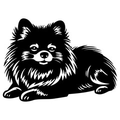 Obraz premium pomeranian dog resting silhouette illustration, pomeranian dog resting Logo Monochrome Design, Generative AI.