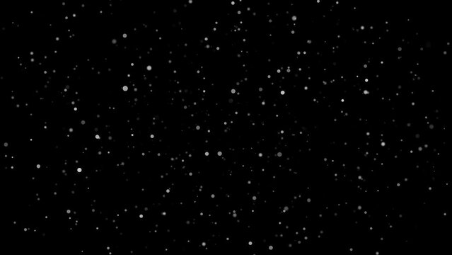 Animation of falling particles. Starry sky. On a transparent background. alpha channel rendering	