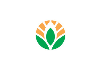 leaf with sun logo, creative agriculture farm design symbol template