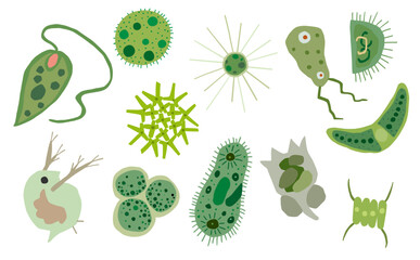 色々なプランクトン © noka