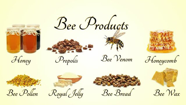 honey, bee bread, bee pollen, royal jelly, propolis isolated