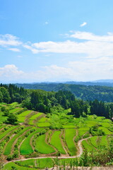 外之沢の棚田（新潟県）