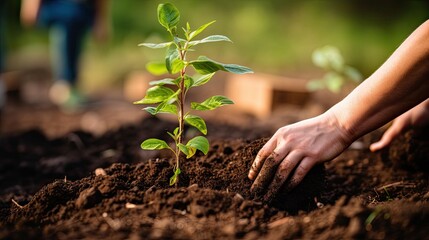Hands planting fresh plants in spring 