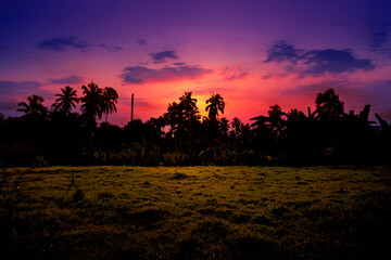 sunset in tropical forest