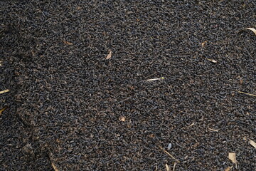 Bat droppings used to make compost.