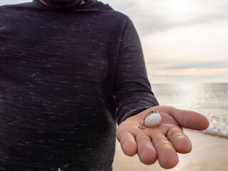 baby newborn tiny inflated small puffer fish on a fisherman hand in baja california sur, mexico,...