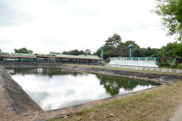 Fototapeta na wymiar Pond for raising small fish.
