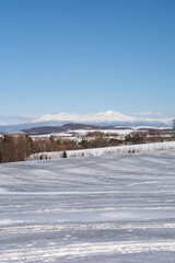 Fototapeta na wymiar 冬の晴れた日の融雪剤がまかれた畑と雪山　大雪山 
