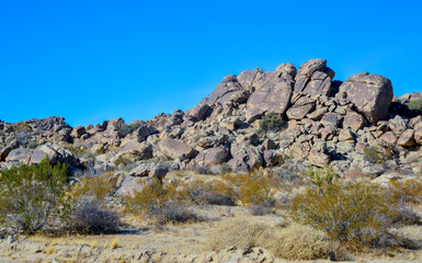 Rock desert landscape in California, yucca, cacti and desert plants in the foreground