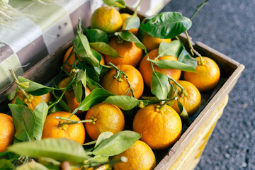 高知朝市 © naomi