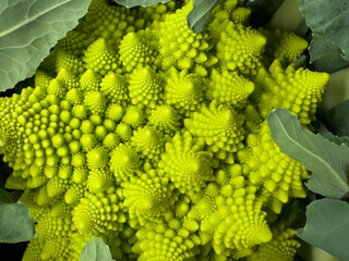 Close up of Romanesco cauliflower