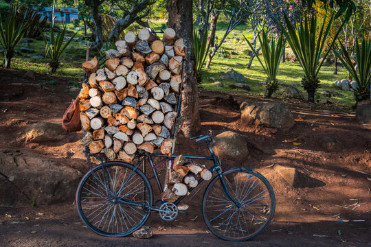 Logs on a bicycle in Zomba, Malawi