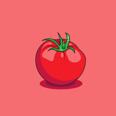 Vector illustration of red tomato fresh 