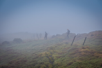 Fototapeta premium Hiking in the mist down Karisimbi volcano, Rwanda