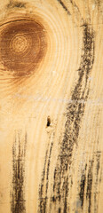 Wood background, wood and board texture