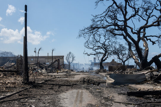 Lahaina, Maui, Hawaii, USA August 9, 2023.   An unidentified man stands in the middle of Front Street the morning after the devastating fires that destroyed Lahaina Town on Maui.  