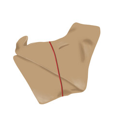 illustration of a rice wrapper with a bit messy