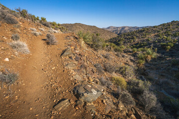 hiking the lost horse mine loop trail in joshua tree national park, california, usa