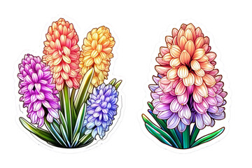 Beautiful pink hyacinth flower sticker on purple background. style of soft holographic iridescence, sticker, soft toffee colors reflective, rounded, high quality, sticker print.  - obrazy, fototapety, plakaty