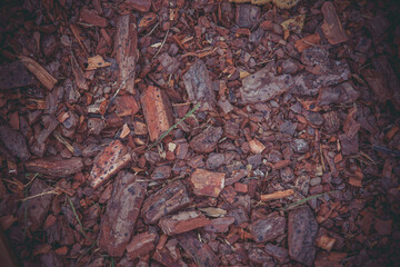 Tree bark for soil fertilization