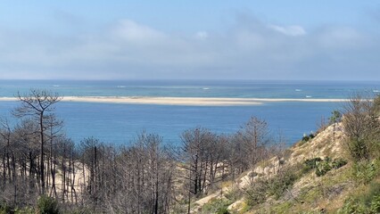 Paysage Dune du Pilat  Bassin d’Arcachon Gironde  France