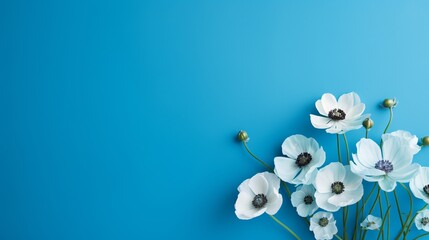 A blue background with copy space is adorned with beautiful flowers.