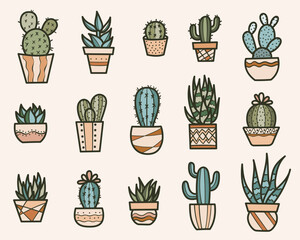 Houseplants in pots vector clip art illustration set, hand drawn plants, botanical doodle collection, colorful design elements