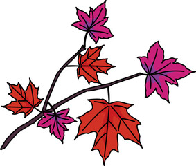 紅葉（autumn leaves）(PNG)