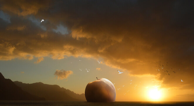Giant peach floating in the ocean near the coast with seagulls circling.