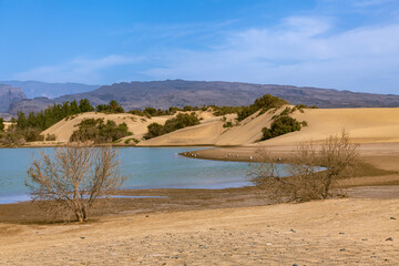 The Small Lake La Charca De Maspalomas