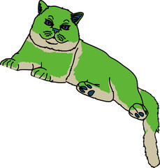猫（cat）
